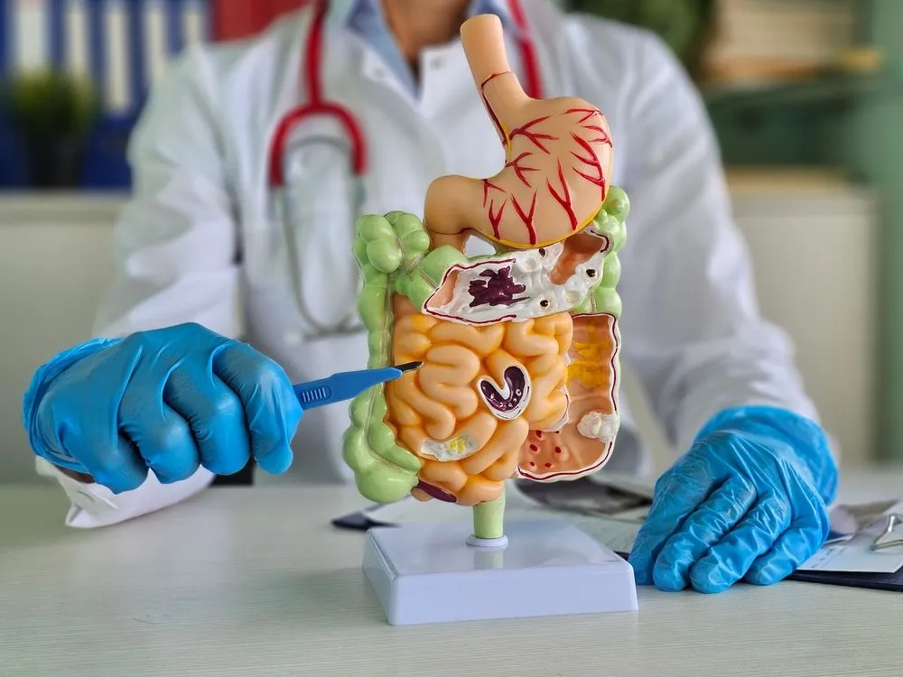 Common Misconceptions About Internal Medicine