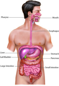 Exploring the Different Types of Gastrointestinal Disorders