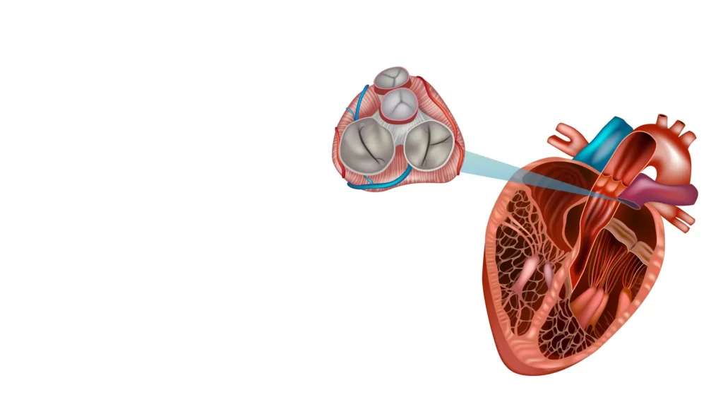 The Role of Cardiologists in Managing Heart Disease