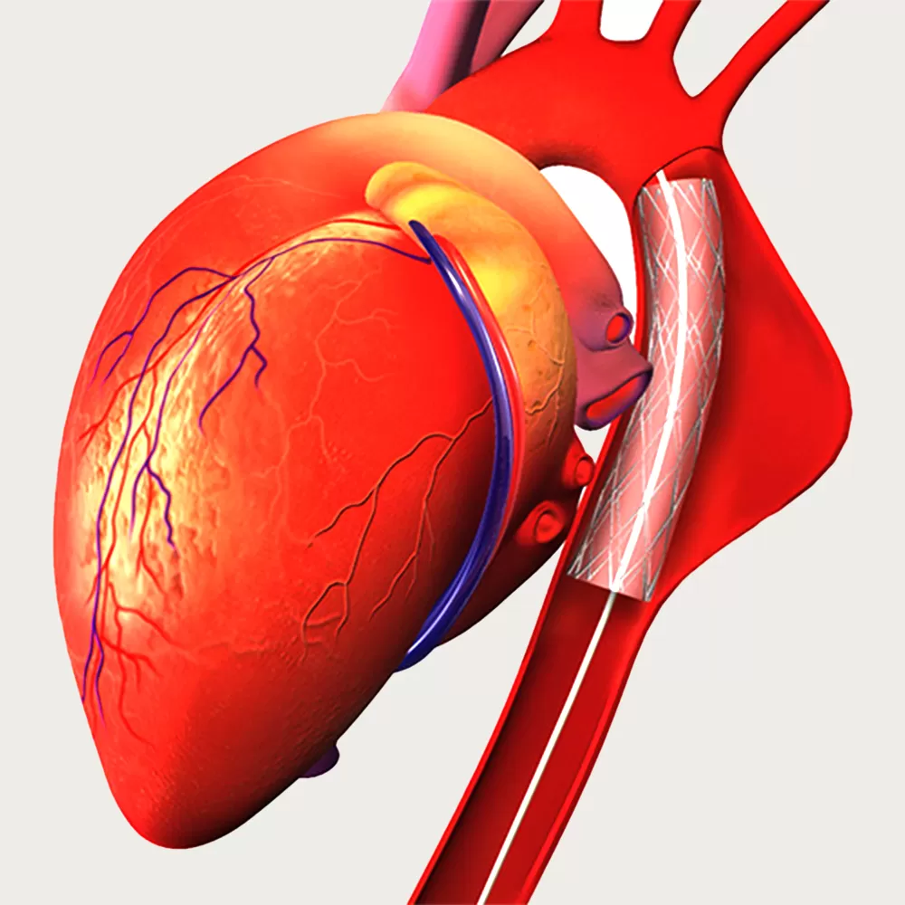 Signs You Should Schedule an Appointment With Your Heart Doctor