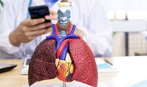 Understanding the Role of a Cardiologist in Heart Health